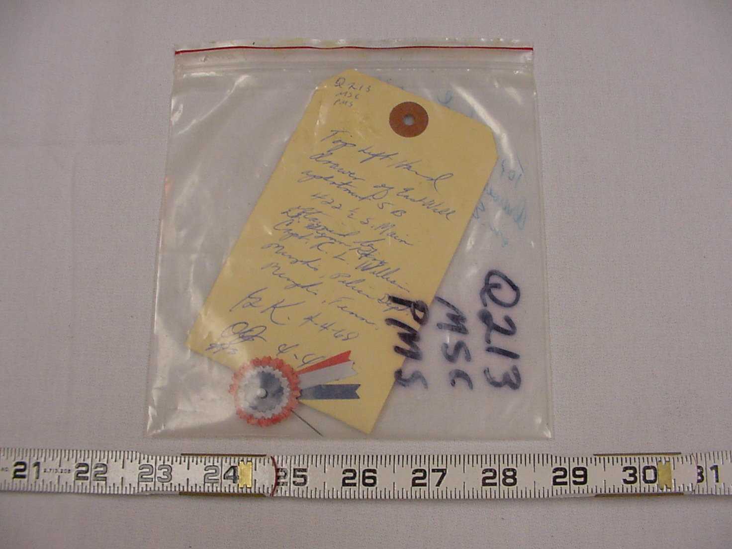 lapel pin.jpg